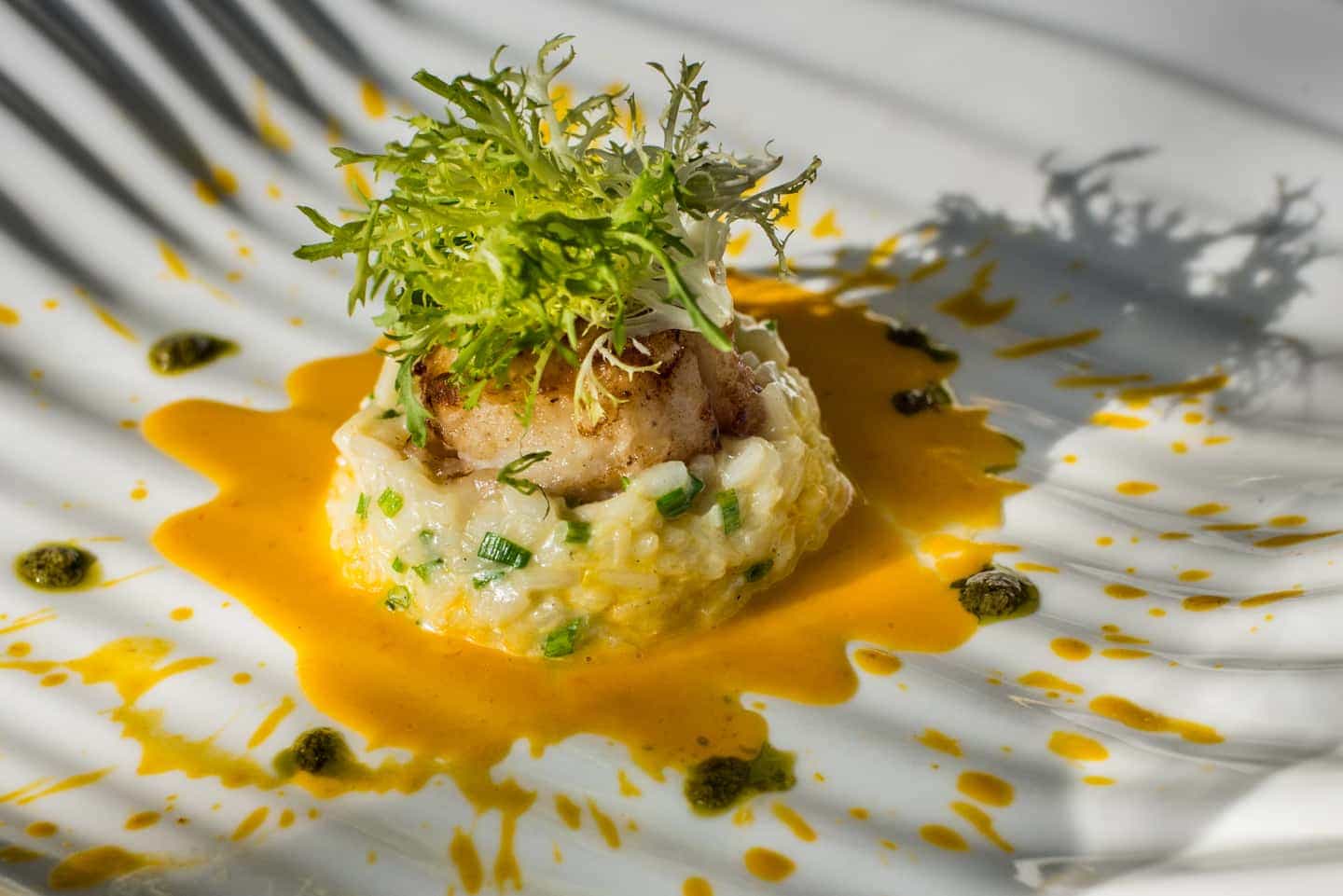 Square Restaurant and Lounge food photos